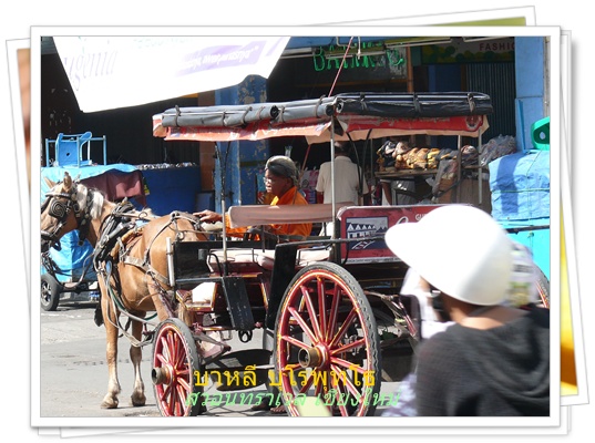เที่ยวบาหลี บุโรพุทโธ สวอนทราเวล 053-218192 www.takethaitour.com