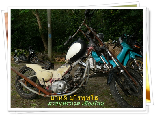 บาหลี บุโรพุทโธ สวอนทราเวล ทัวร์ต่างประเทศ 053-218192 www.takethaitour.com
