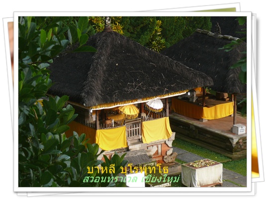 บาหลี สวอนทราเวล 053-218192 www.takethaitour.com