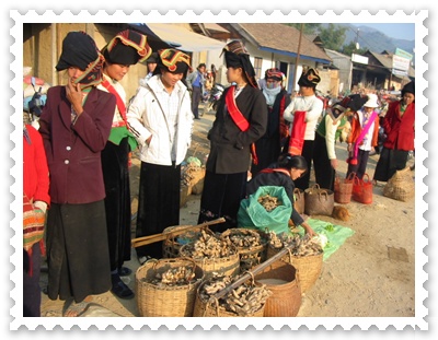 ลงพื้นที่ภาคสนาม เวียดนามเหนือ ซาปา ไมจาว ดูไทขาว ไทดำ ไทแดง เดียนเบียนฟู สวอนทราเวล 053-218192 www.takethaitour.com